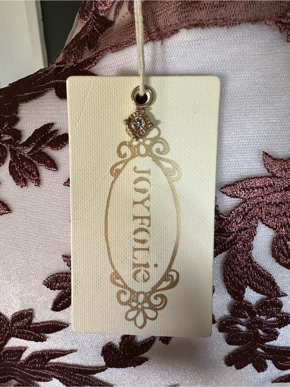 JOYFOLIE Bellana Dress in Rosette | Romantic Embroidered Mesh Maxi Dress | NWT - Picture 12 of 16